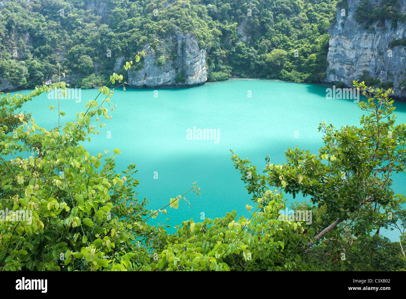 Emerald lago di acqua salata nel parco marino Ang Thong, Thailandia Foto Stock