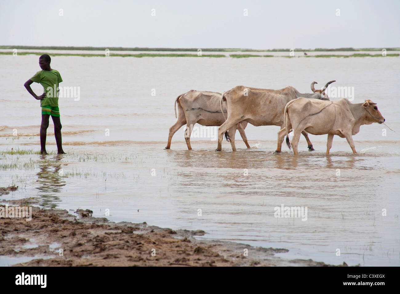Dassanech o daasanach o dasenach persone. Il lago Turkana, Etiopia, Africa Foto Stock