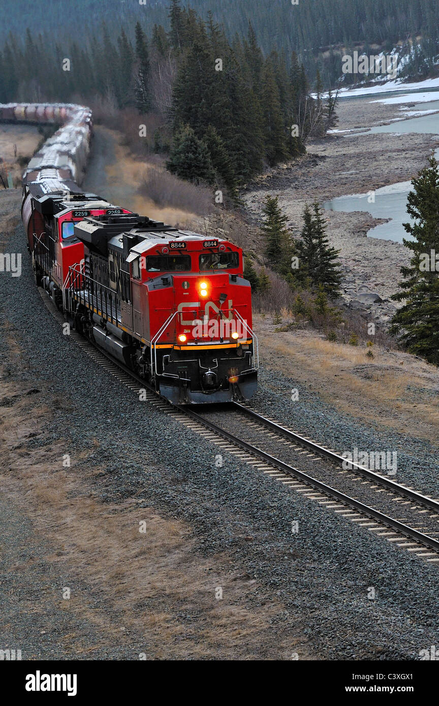 Un Canadian National treno merci. Foto Stock