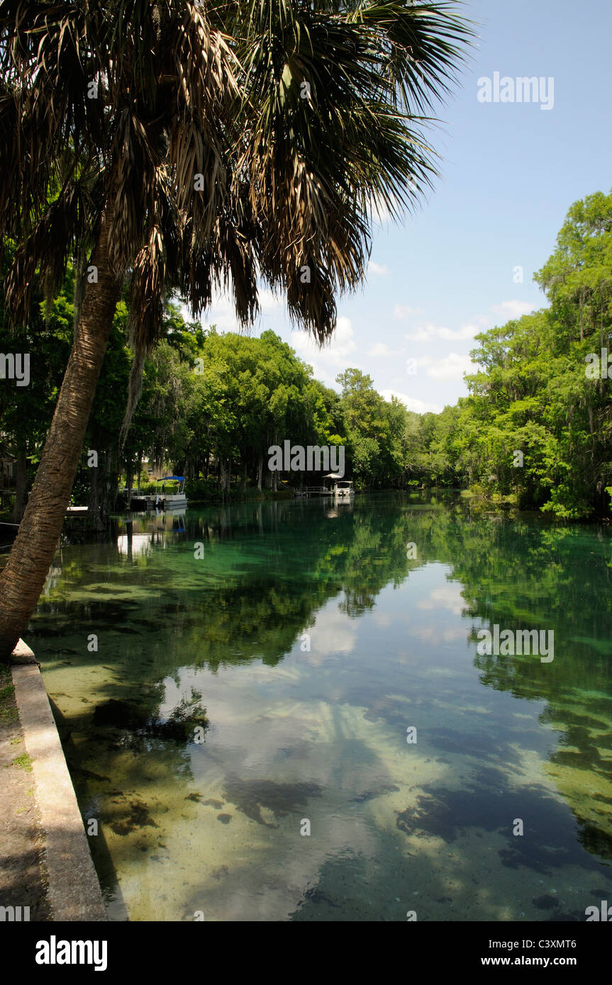 Rainbow River a Dunnellon in Marion County Florida USA Foto Stock