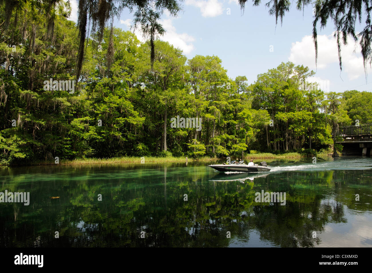 Giavellotto powerboat crociera sul Fiume Arcobaleno a Dunnellon in Marion County Florida USA Foto Stock