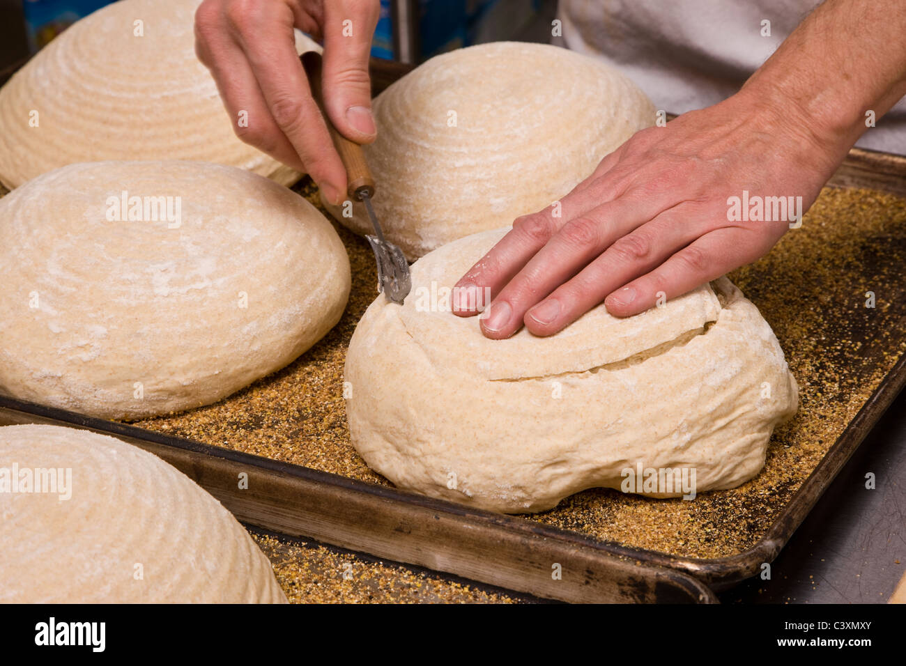 Cuoco professionista, preparare il pane fresco in un forno commerciale Foto Stock