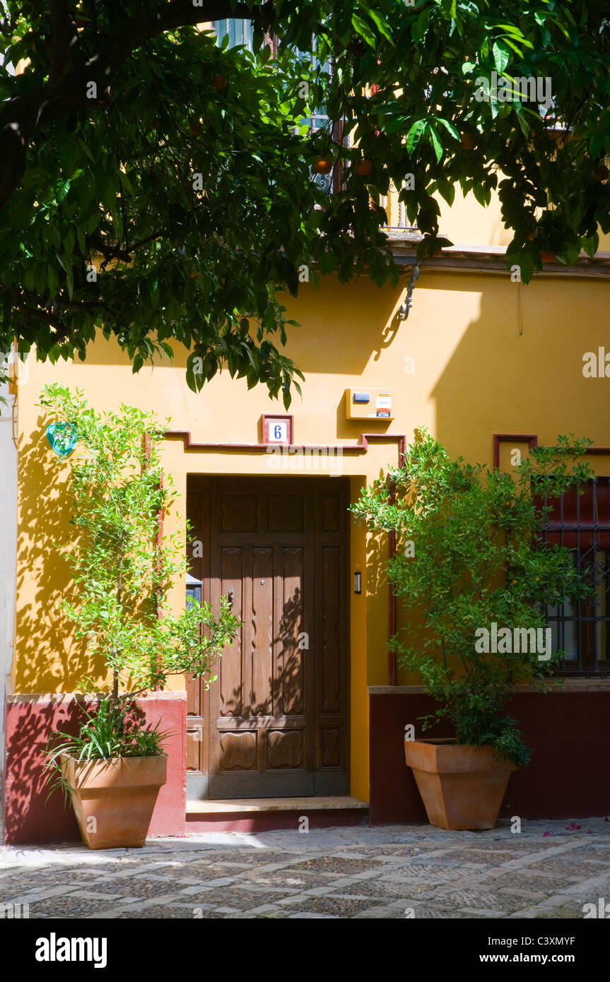 Una tipica scena di Siviglia, Spagna. Un quadrato ombreggiato da alberi di arancio. Foto Stock