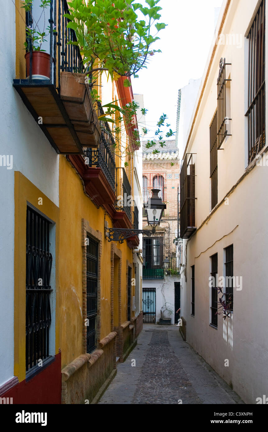 Tipico vicolo stretto con il dipinto di edifici di Siviglia, Spagna Foto Stock