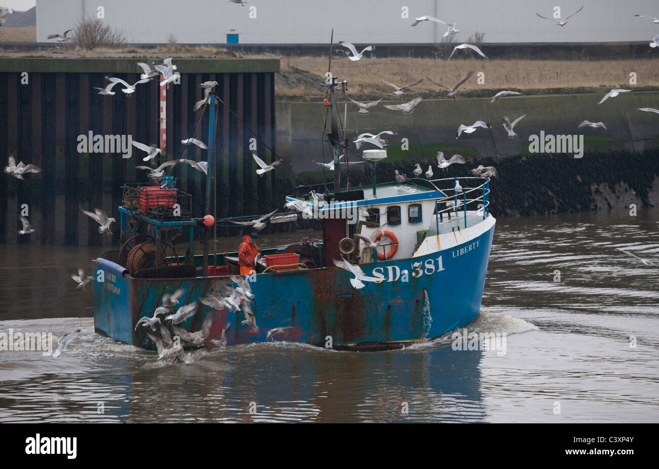 Una piccola barca da pesca percorsi gabbiani come ritorno al molo del pesce a Sunderland attraverso il fiume usura Foto Stock