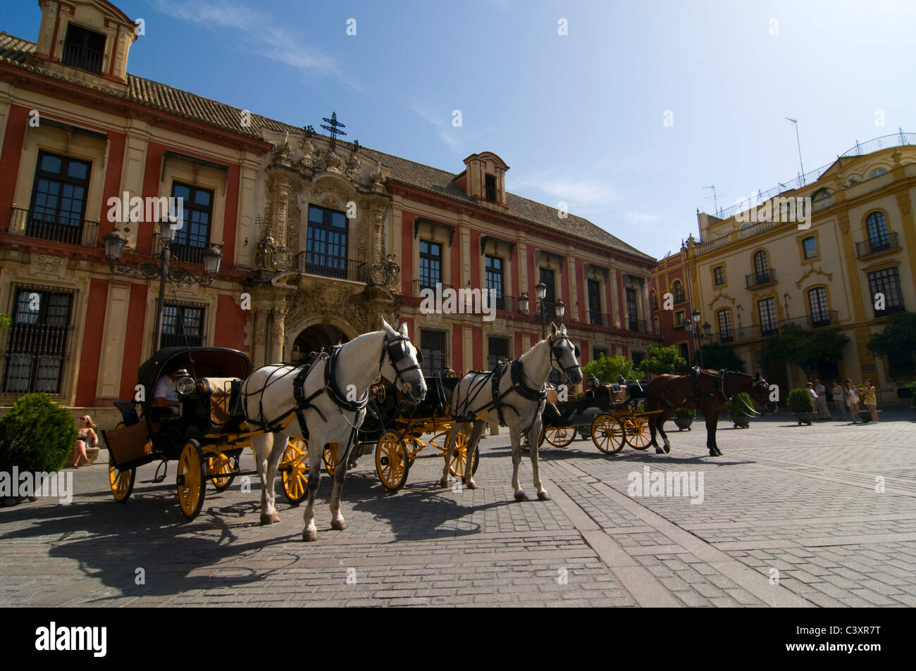 Cavalli in attesa nel caldo sole di mezzogiorno per portare i turisti nelle carrozze in giro per le strade di Siviglia, Spagna. Foto Stock