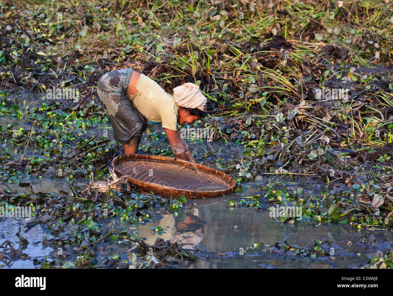 Più giovane donna cura fuori la pesca tradizionale su Majuli Island, Assam, India Foto Stock