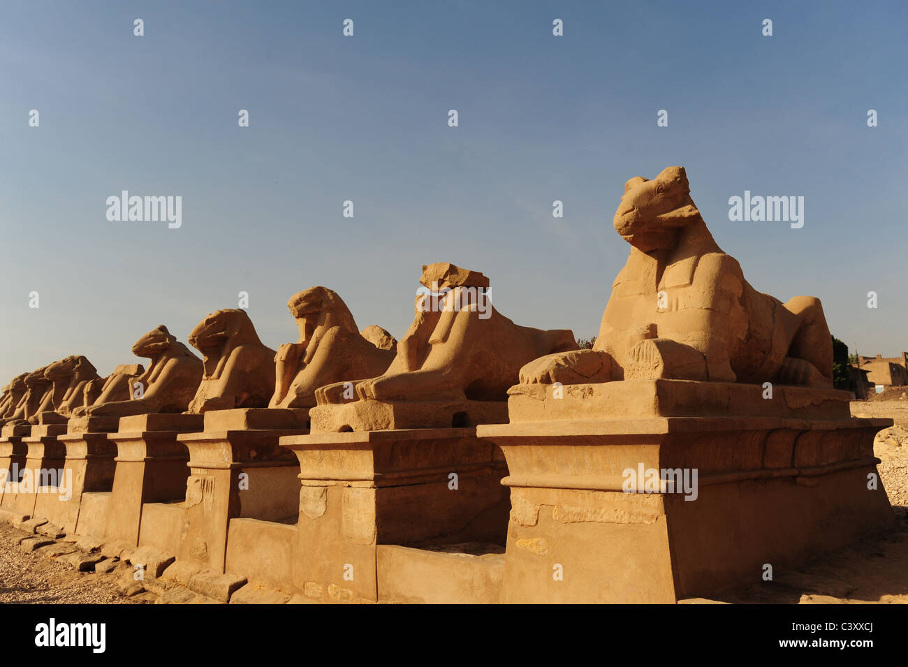 Africa egiziano Egitto Luxor al di fuori del tempio di Karnak il viale di Sfingi Foto Stock