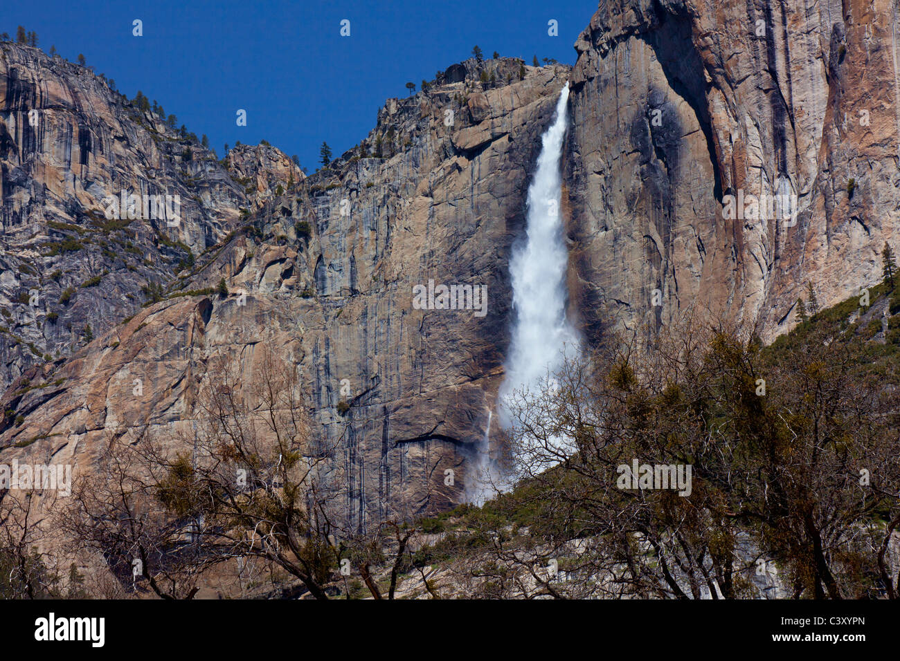Bridalveil Falls, Yosemite Valley, California, Stati Uniti d'America Foto Stock