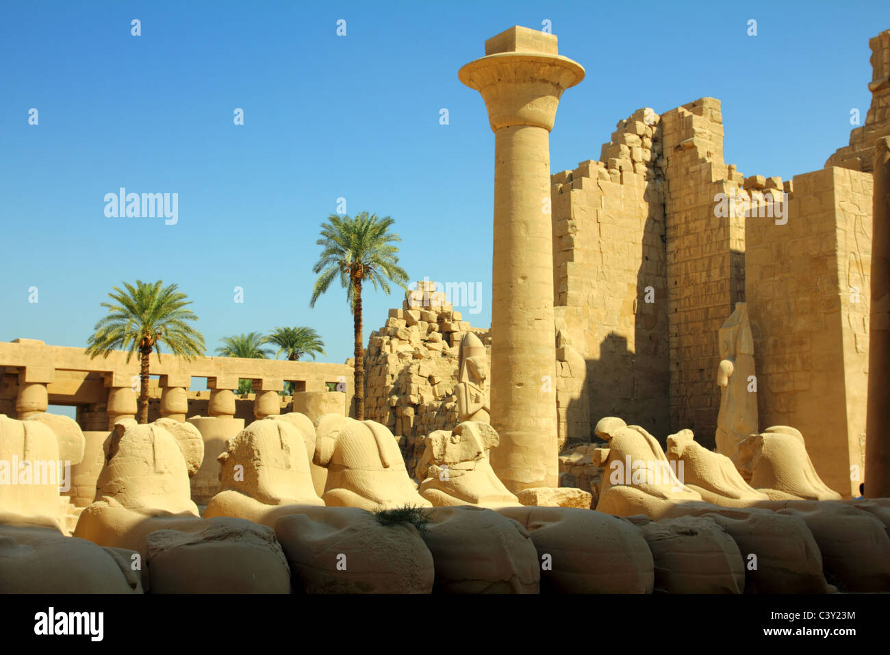 Colonna e statue di sphinx nel famoso tempio di Karnak - Luxor Foto Stock