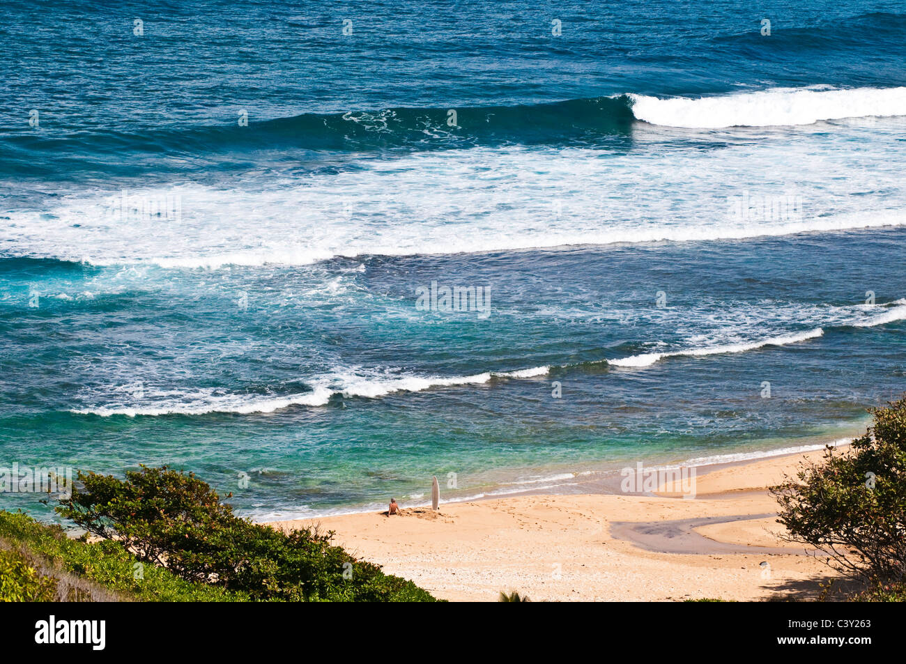 Surfer seduto su una spiaggia hawaiana Foto Stock