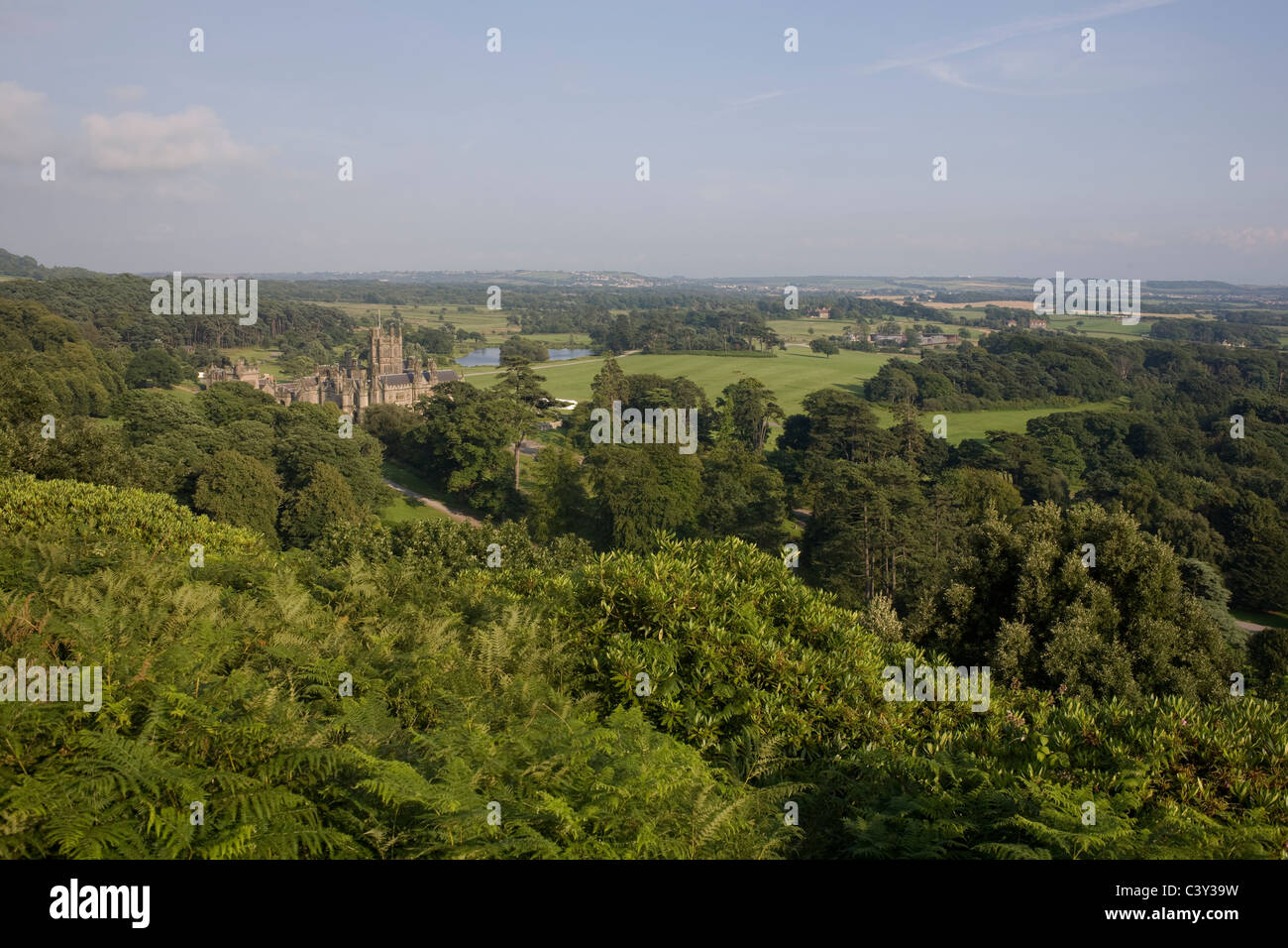Bosco e castello di Margam Country Park, Port Talbot, West Glamorgan, Galles Foto Stock
