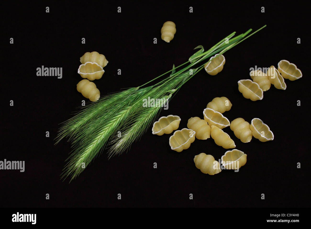 Verde di orecchie di segale e pasta su nero Foto Stock