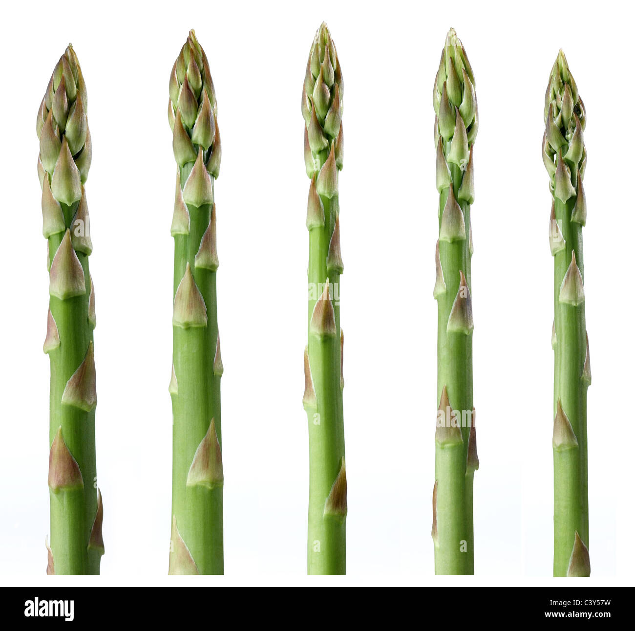 asparagi Foto Stock