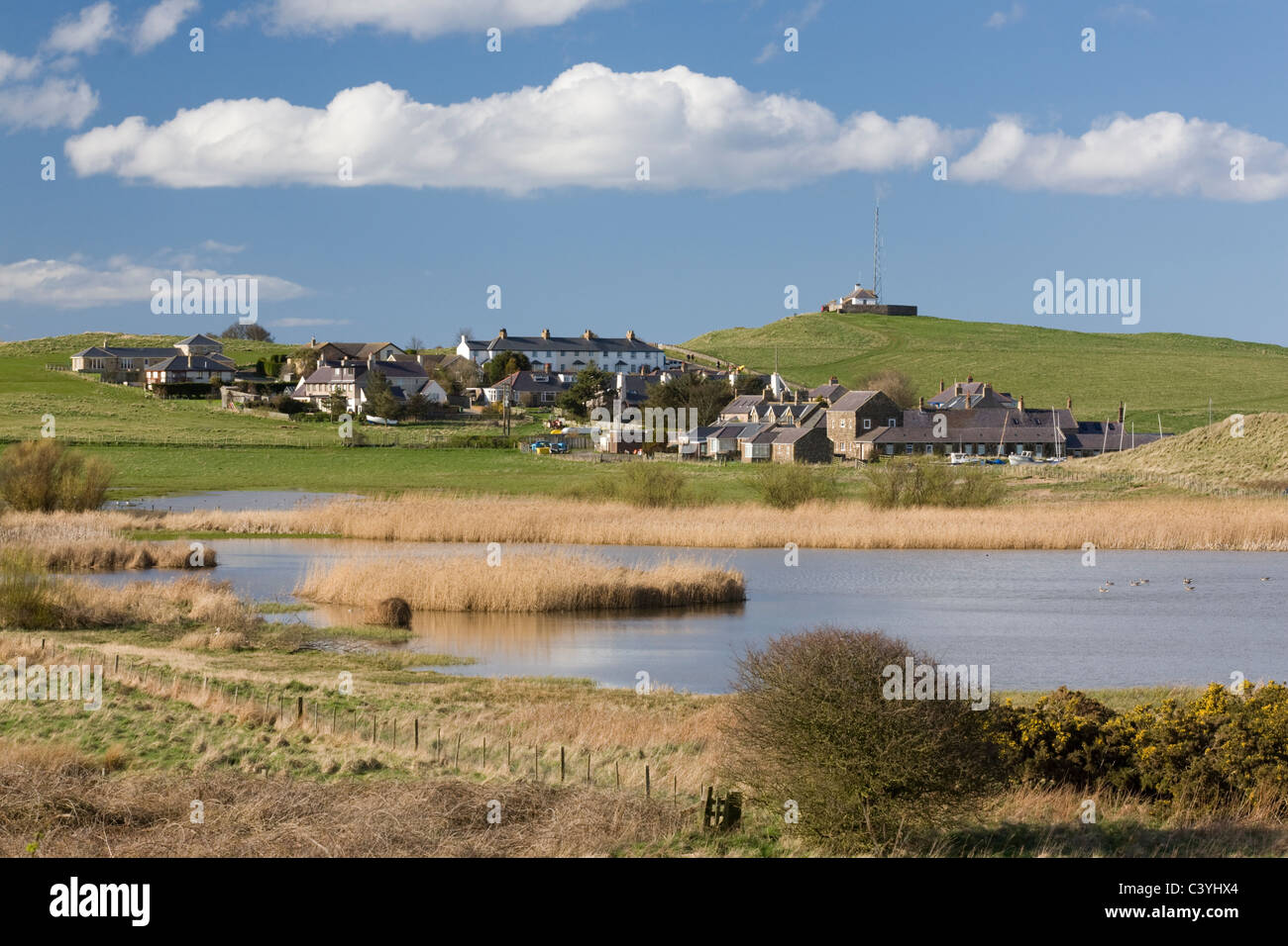Newton Piscina riserva naturale a bassa Newton in riva al mare sulla costa di Northumberland Foto Stock