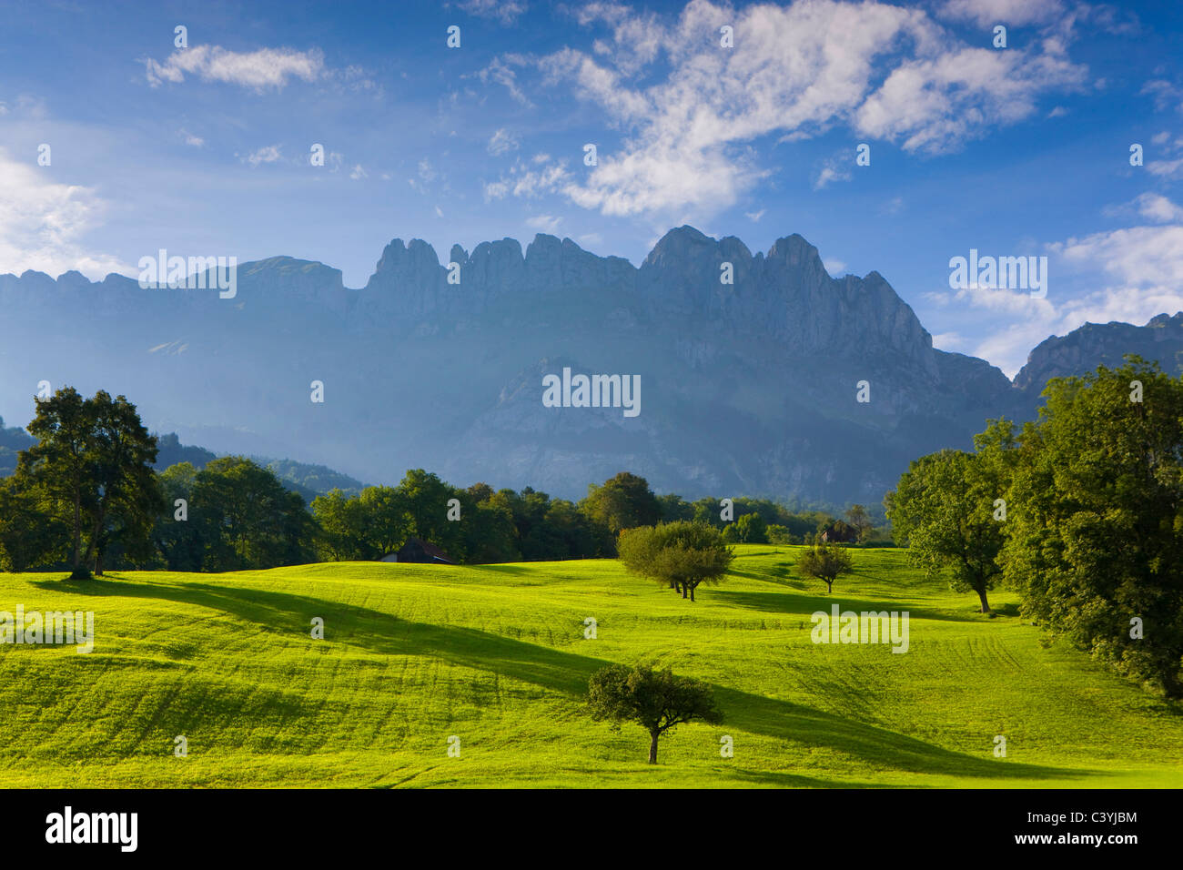 Sax, Svizzera canton San Gallo, Valle del Reno, prati, alberi, montagne, attraversare le montagne, Alpstein Foto Stock