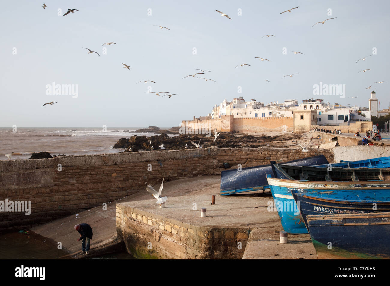 Gabbiani e le mura della vecchia città di Essaouira, Marocco sulla costa atlantica. Foto Stock