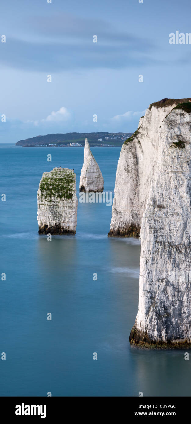 Parson's Barn e i Pinnacoli dal punto Handfast, Jurassic Coast, Dorset, Inghilterra. Inverno (febbraio) 2011. Foto Stock