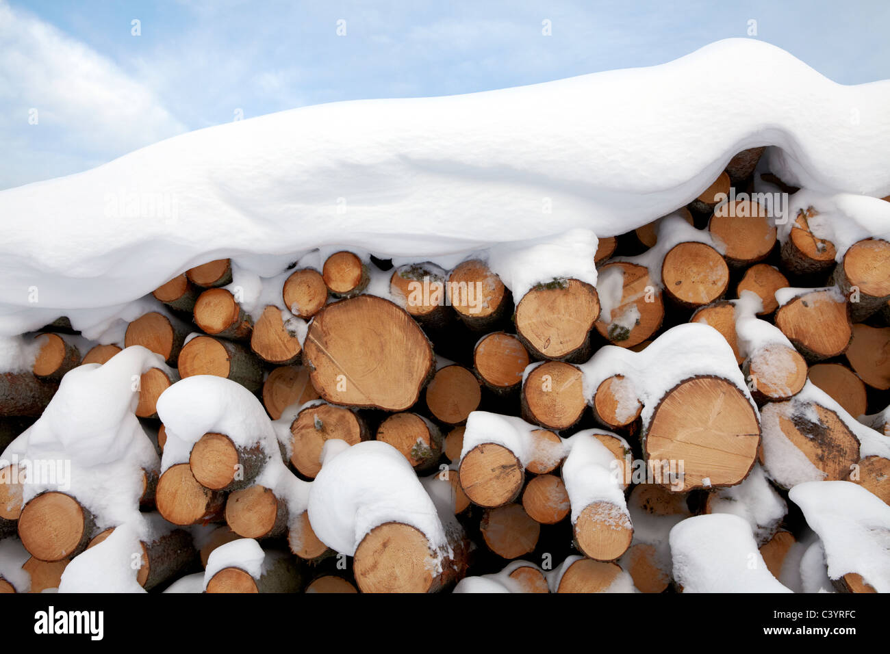 Coperte di neve registri segato Foto Stock