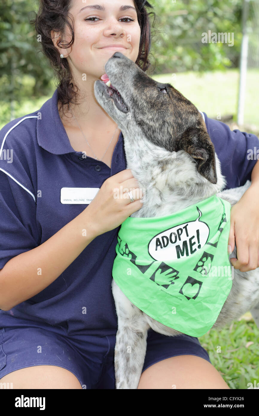Gestore di animali a locali di ricovero degli animali e dei portatori di handicap cane Foto Stock