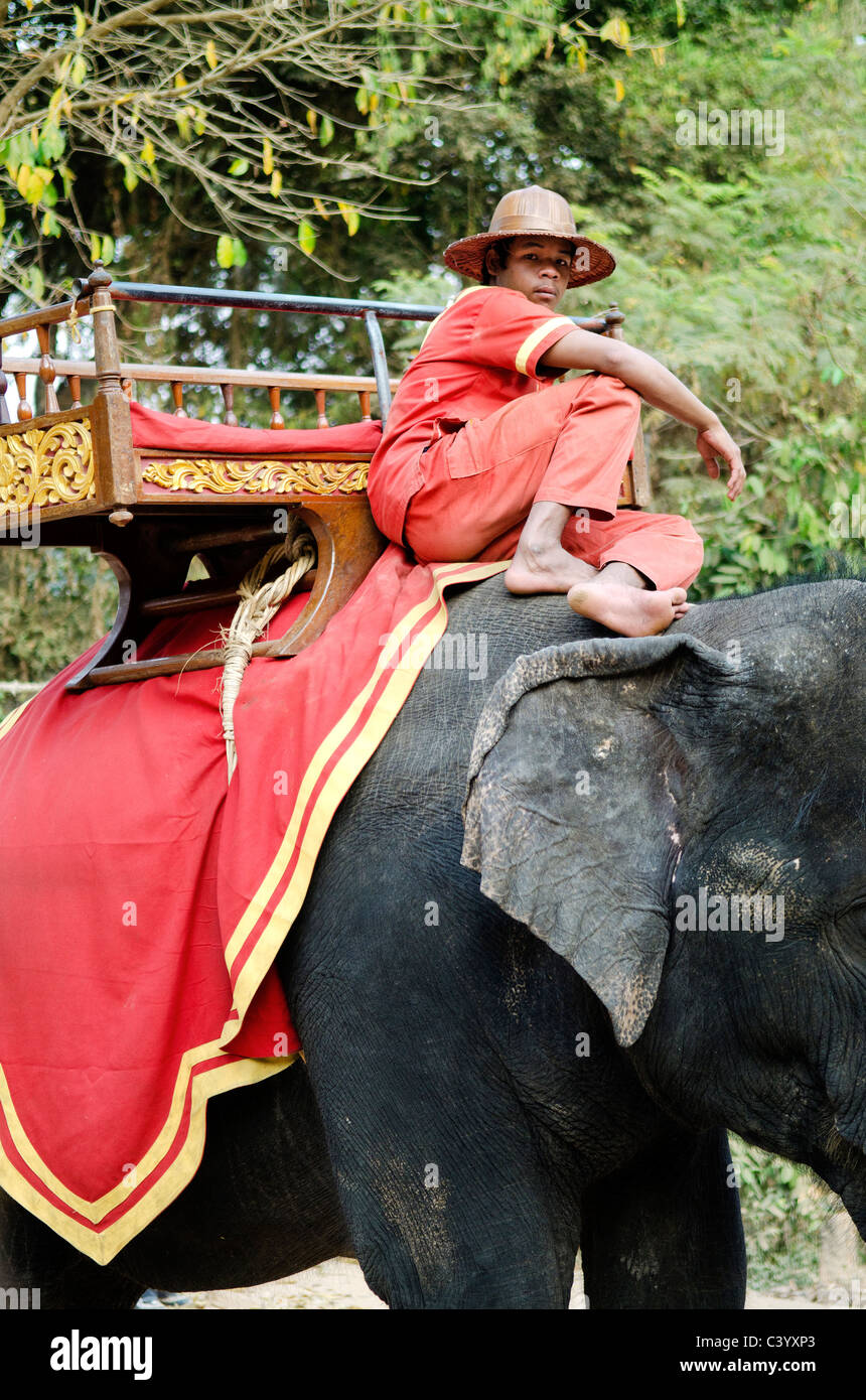 Elefante e driver in Angkor Wat Cambogia Foto Stock