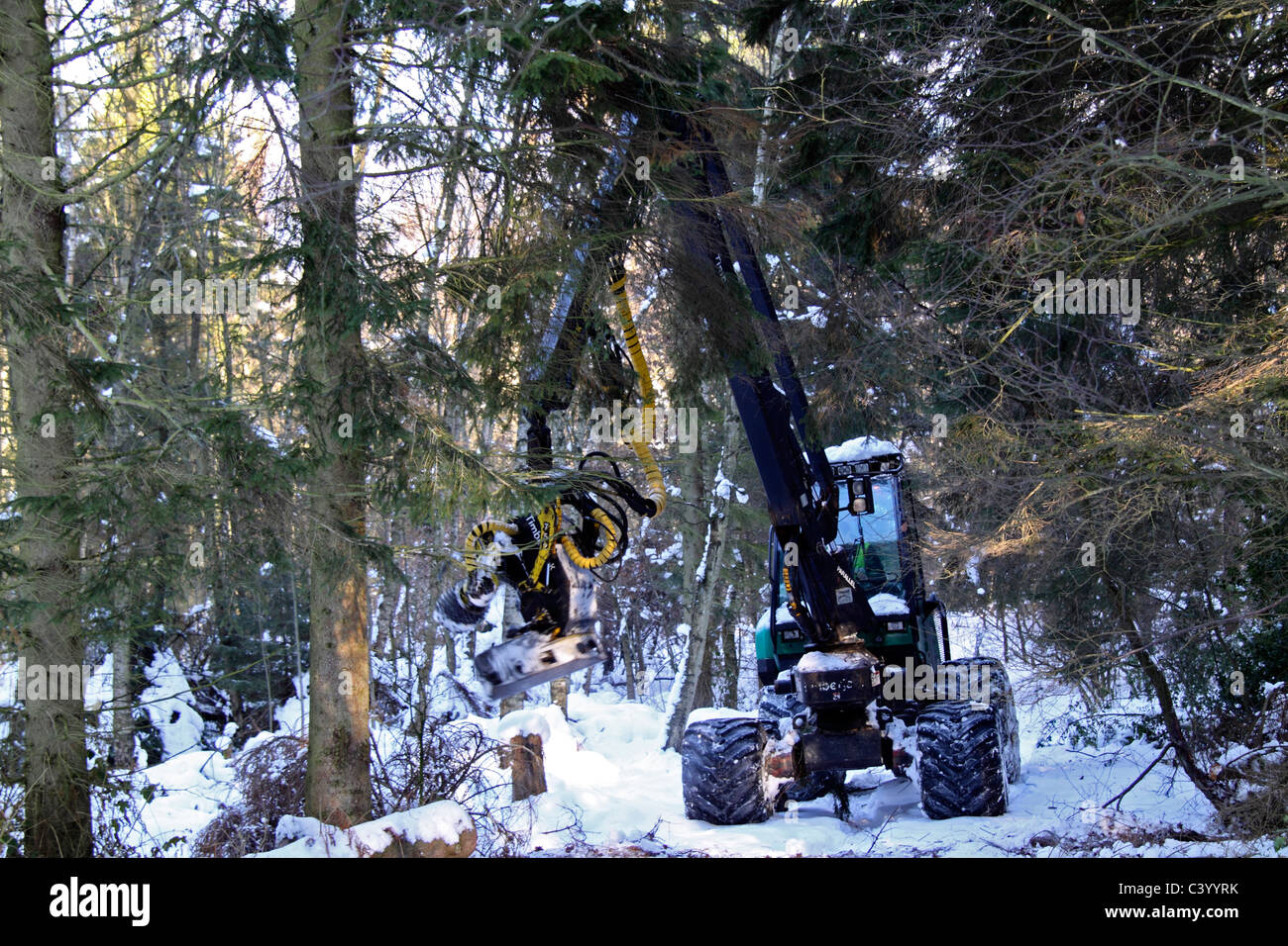 La raccolta di legname il funzionamento in inverno Foto Stock