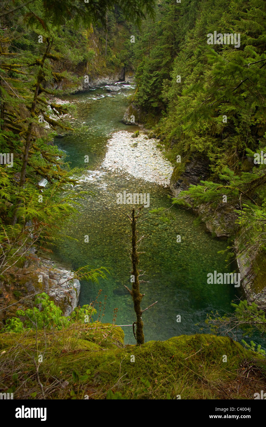 Chehalis fiume che scorre attraverso il Canyon e vecchia foresta, vicino Harrison Mills, BC Foto Stock