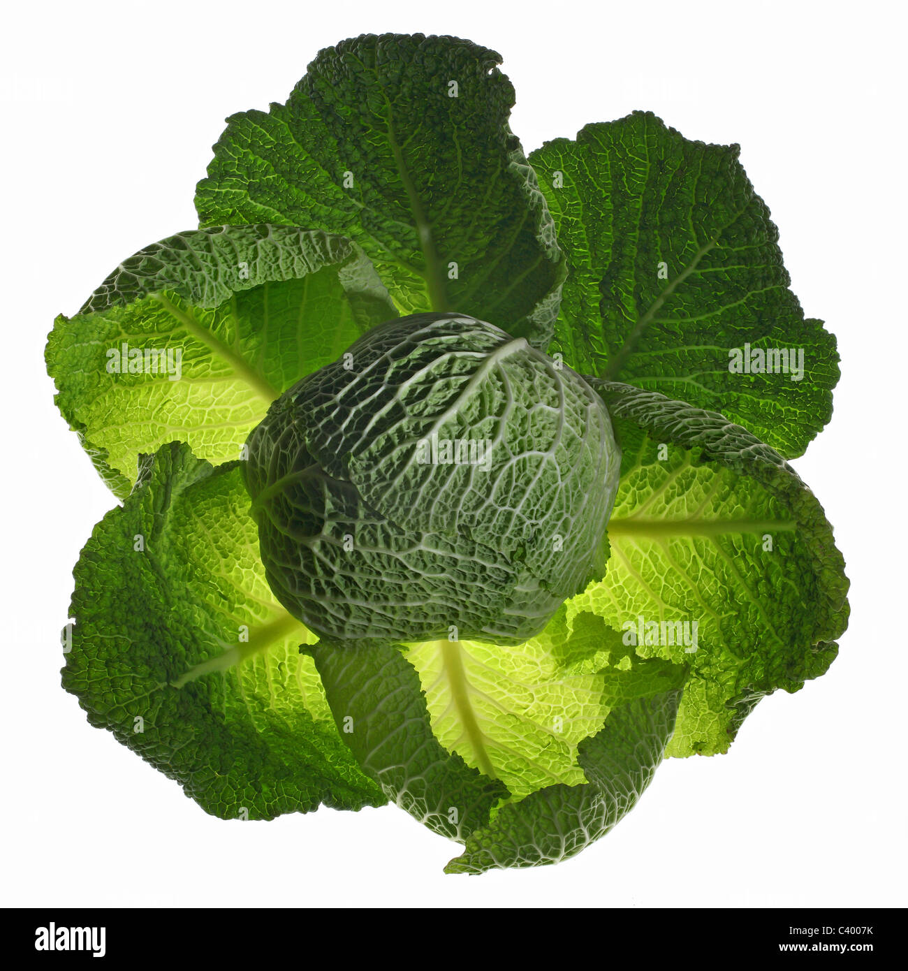 Verza Foto Stock