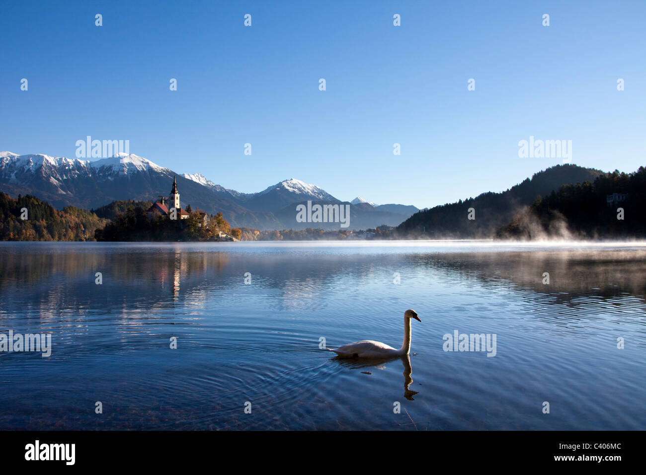 La Slovenia, Europa, Bled, lago, autunno, chiesa, montagne, swan Foto Stock