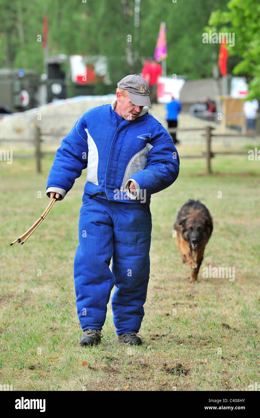 La formazione di un attacco militare cane con uomo in abbigliamento protettivo dell'esercito belga a Leopoldsburg, Belgio Foto Stock