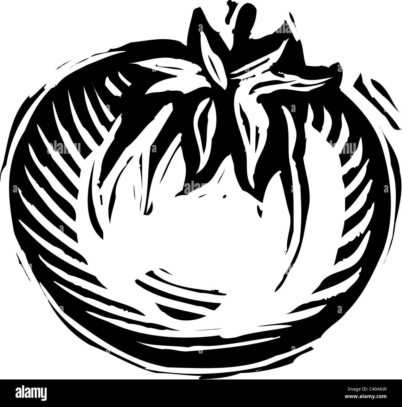 Illustrazione di un bianco e nero il pomodoro Foto Stock