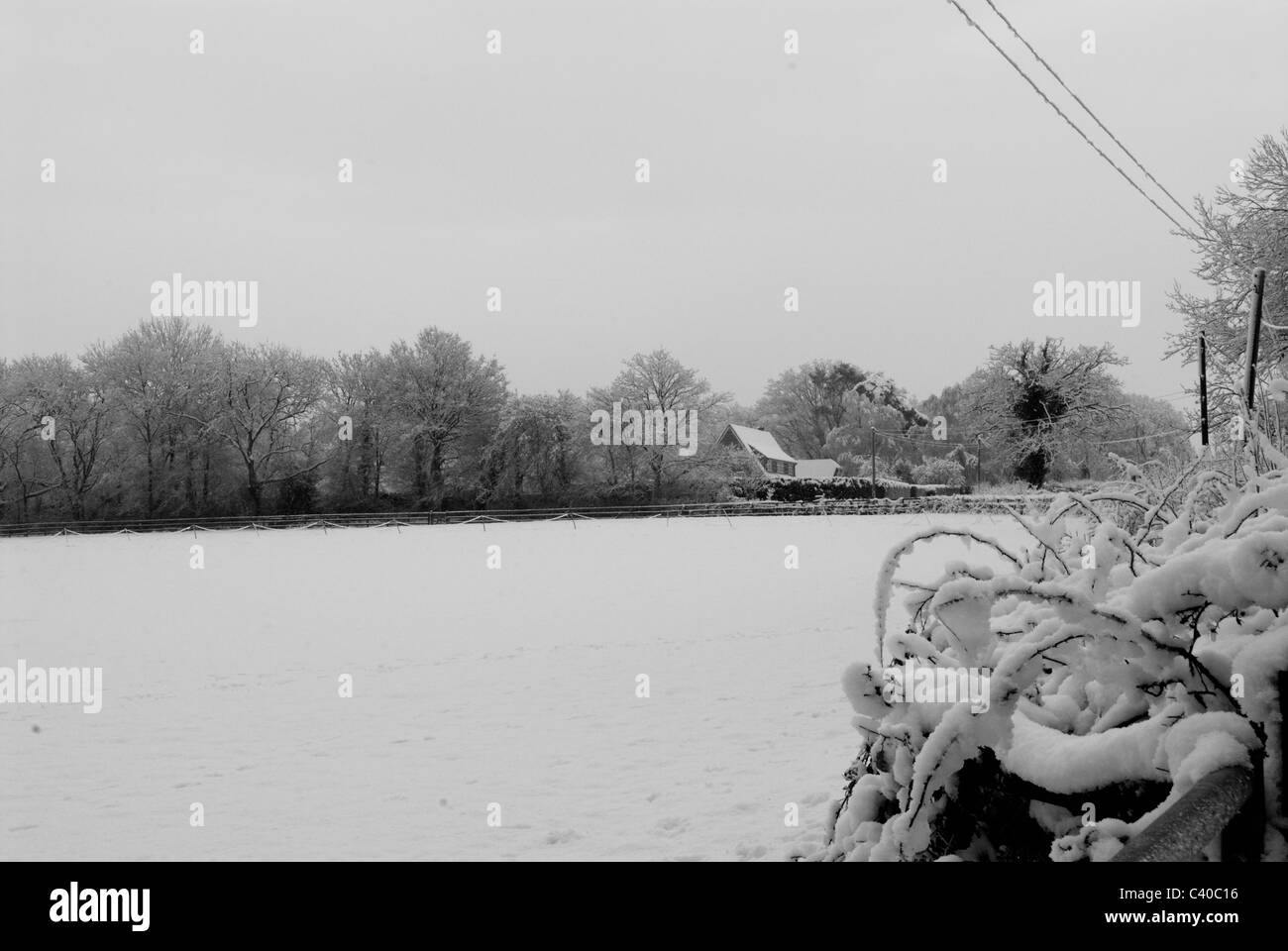 - La neve in Tadley, Hampshire. Regno Unito. Fotografie scattate durante i diversi momenti della giornata, che mostra il paesaggio rurale. Foto Stock