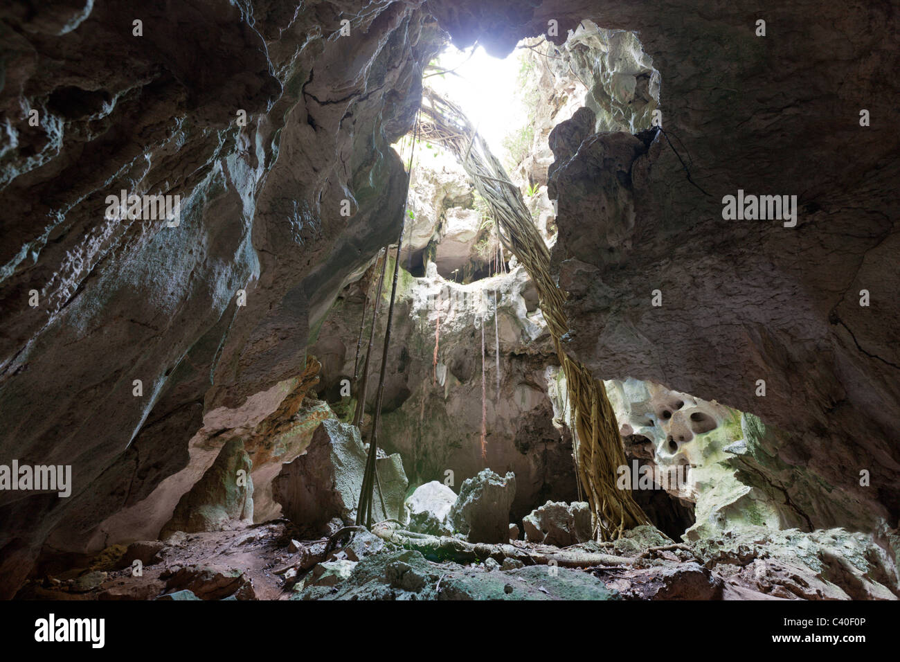 San Gabriel grotte di calcare, Parco Nazionale Los Haitises, Repubblica Dominicana Foto Stock