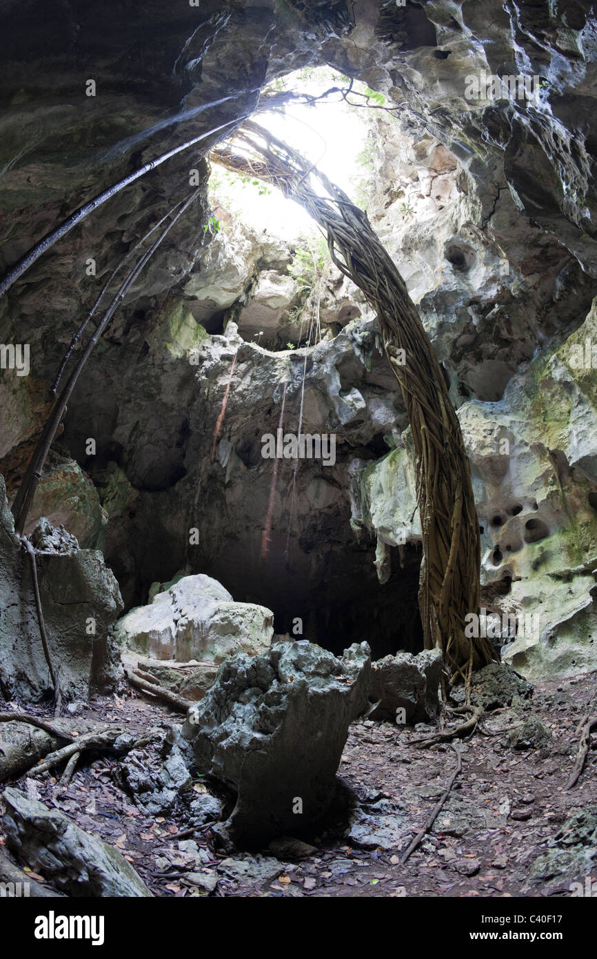 San Gabriel grotte di calcare, Parco Nazionale Los Haitises, Repubblica Dominicana Foto Stock