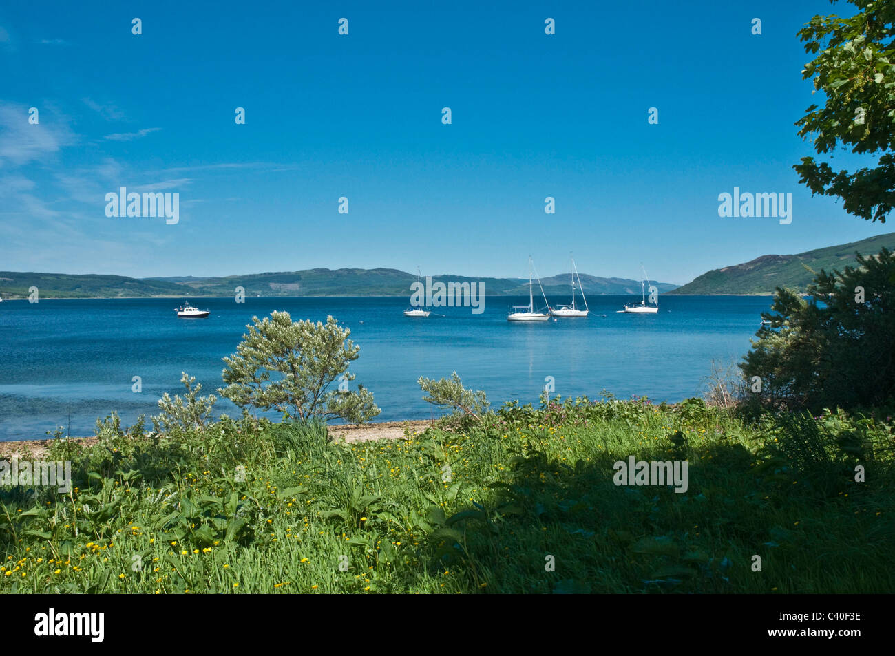 Barche in Loch in Loch Fyne Argyll & Bute Scozia Scotland Foto Stock