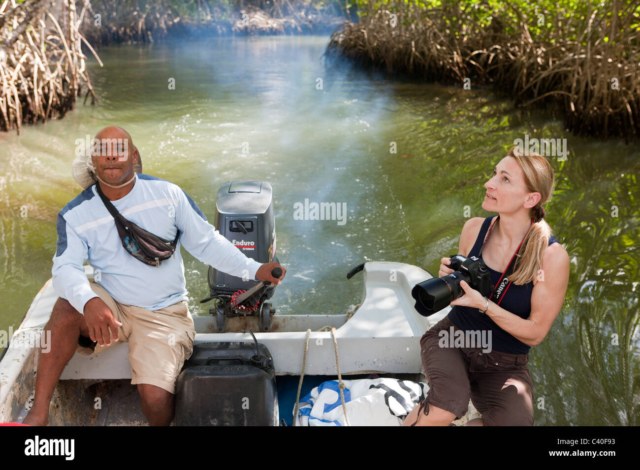 Escursione nelle mangrovie, Rhizophora, Parco Nazionale Los Haitises, Repubblica Dominicana Foto Stock