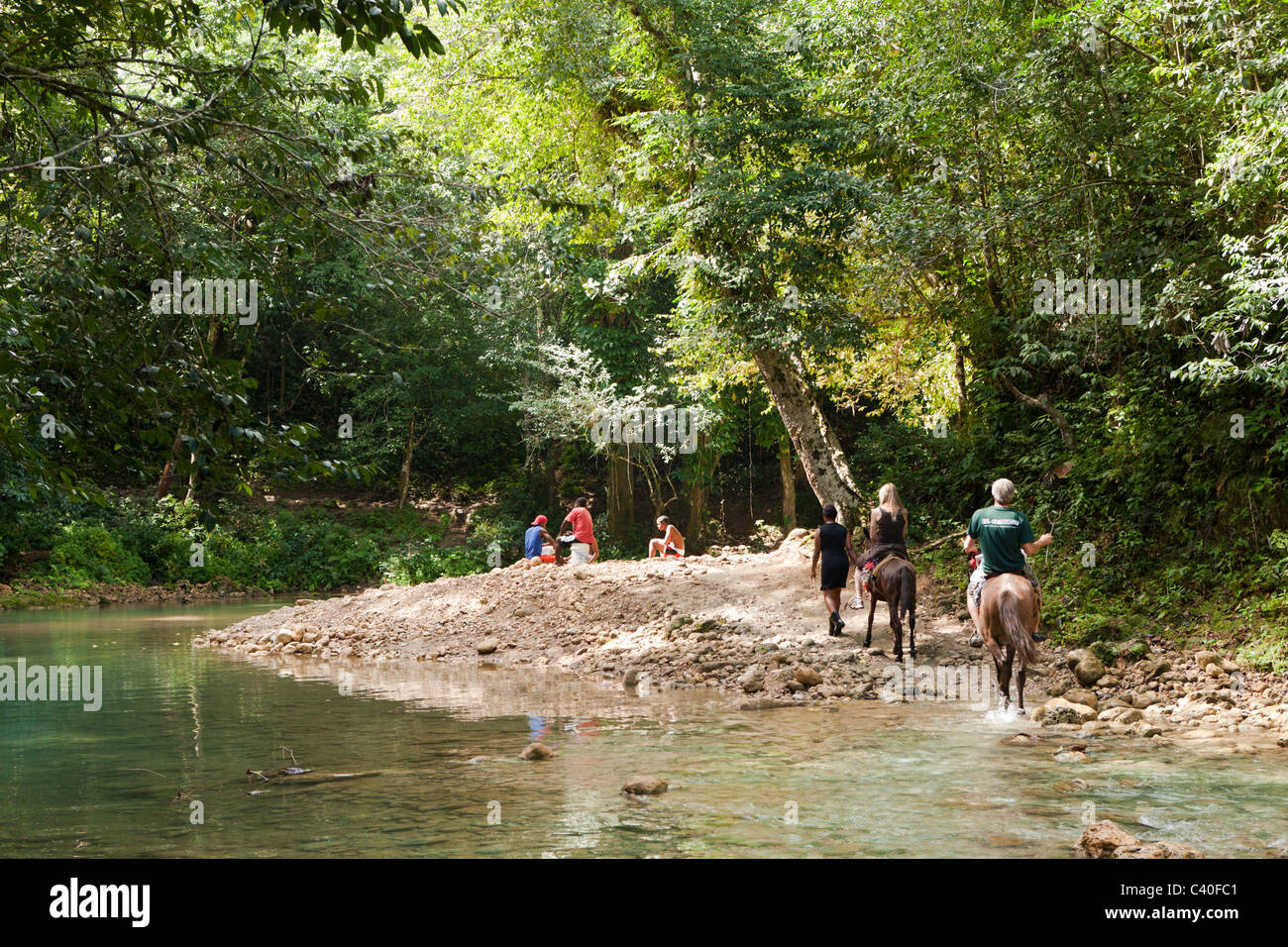 Tour a cavallo per la Cascata Cascada El Limon, Las Terrenas, penisola di Samana, Repubblica Dominicana Foto Stock