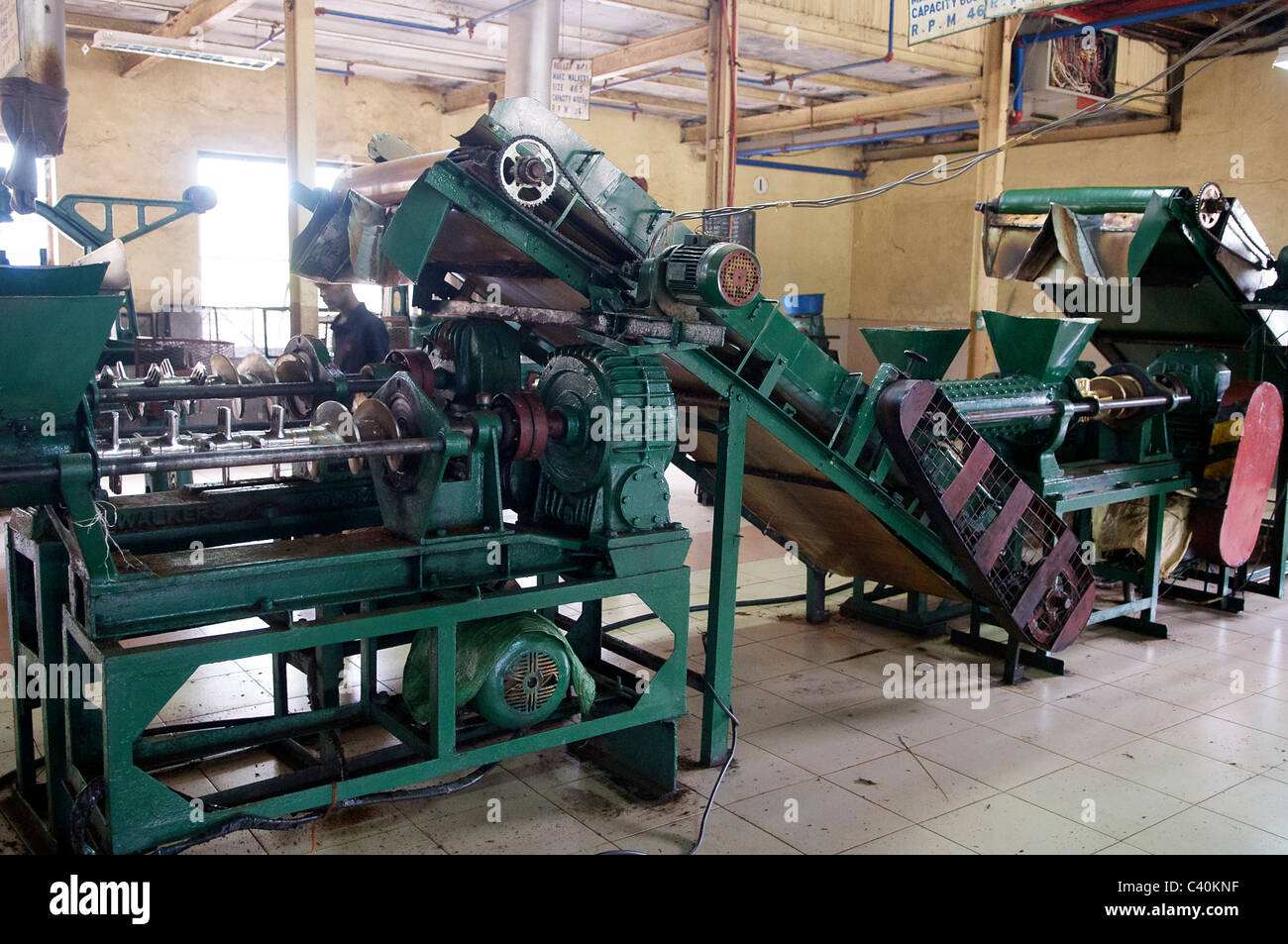 Interior Dilma tea factory Hatton Altopiani centrali dello Sri Lanka Foto Stock