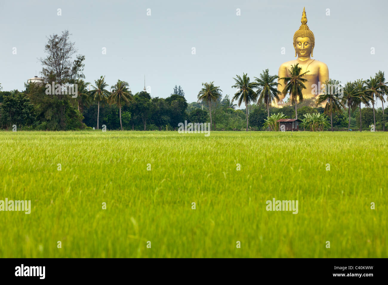 Golden gigantesca statua del Buddha di wat muang, il più alto in Thailandia, Angthong Foto Stock