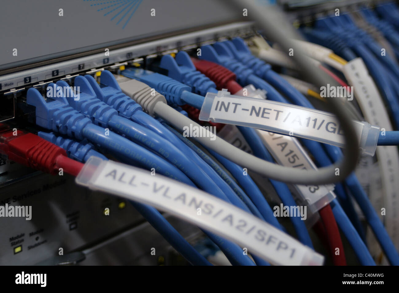 Cbles Ethernet collegato a un interruttore Foto Stock