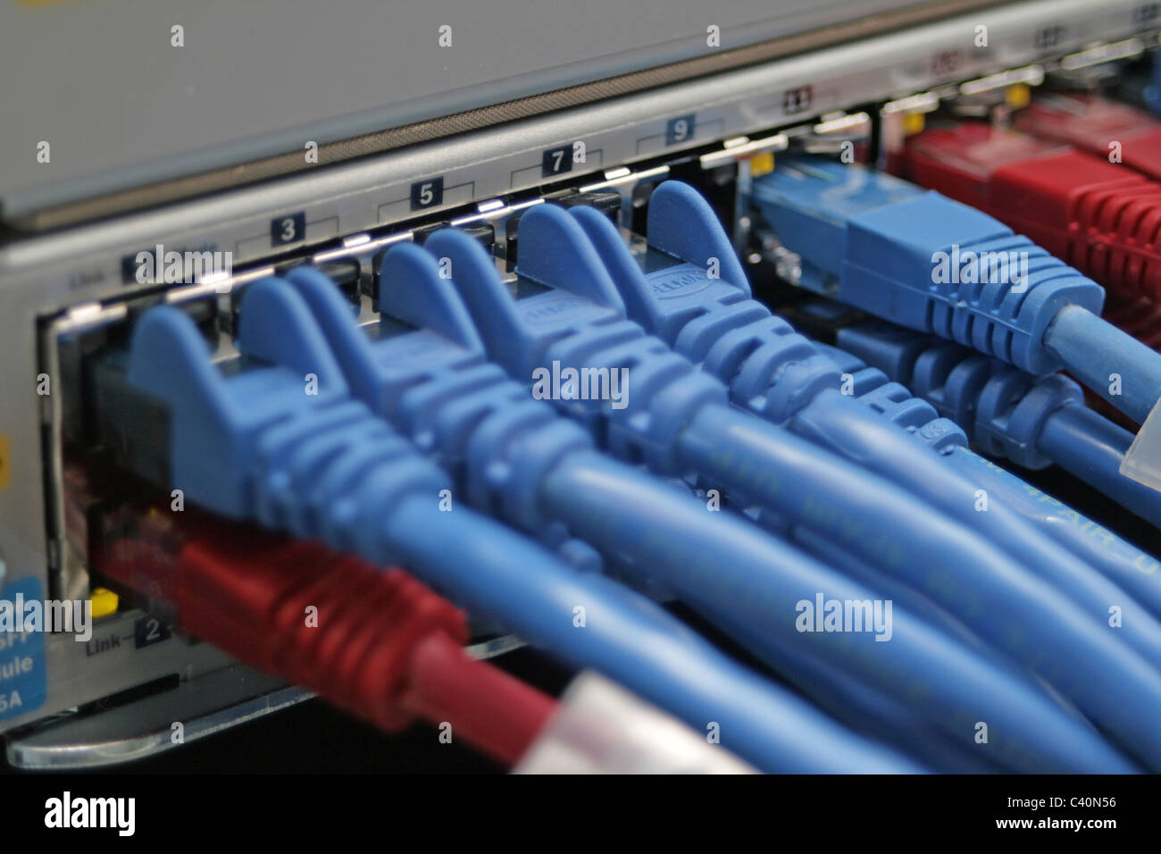 Cavi Ethernet collegati ad un interruttore Foto Stock