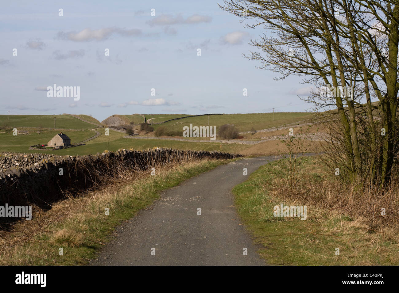 Una vista lungo la Tissington Trail tra il prezzemolo e fieno Tissington Derbyshire Inghilterra Foto Stock