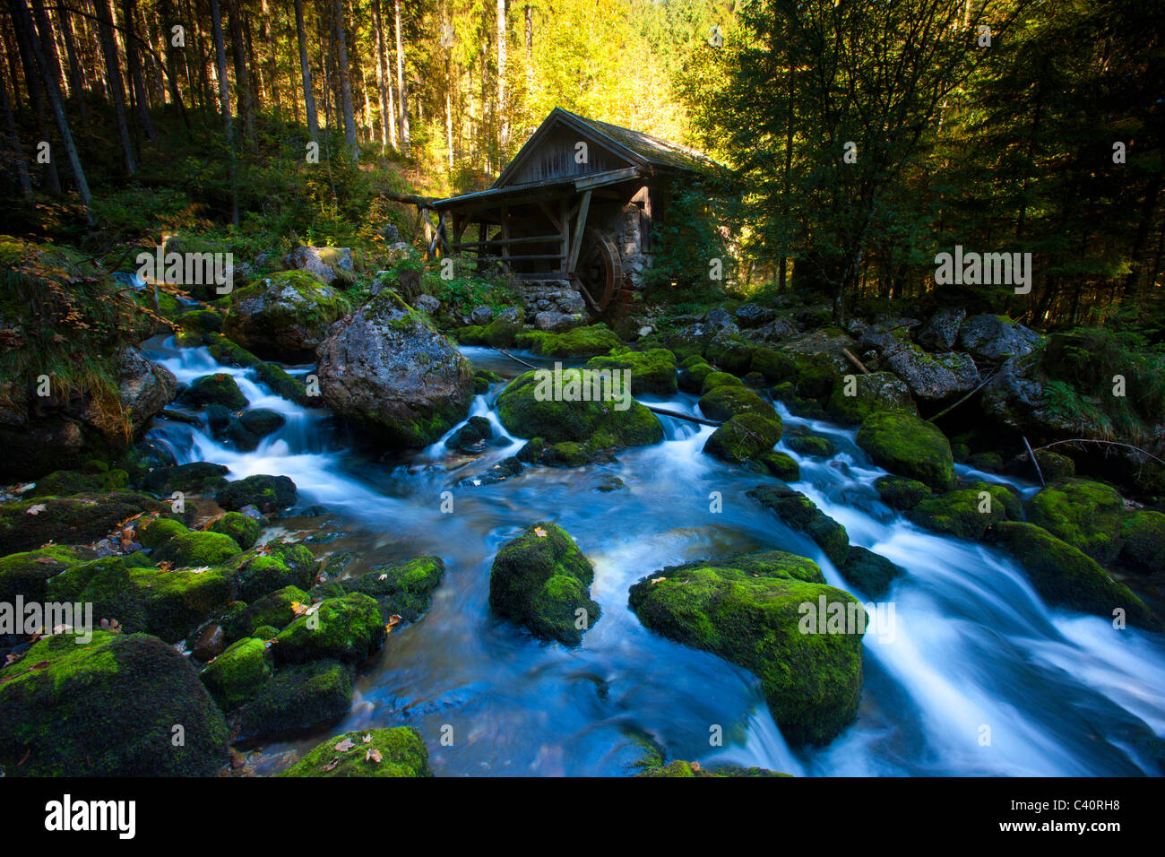 Golling, Austria, Europa, Salisburgo, legno, foresta, Brook, pietre, MOSS, mulino, mulino ad acqua Foto Stock