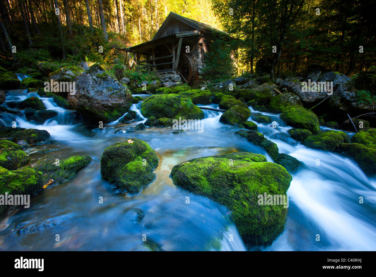 Golling, Austria, Europa, Salisburgo, legno, foresta, Brook, pietre, MOSS, mulino, mulino ad acqua Foto Stock