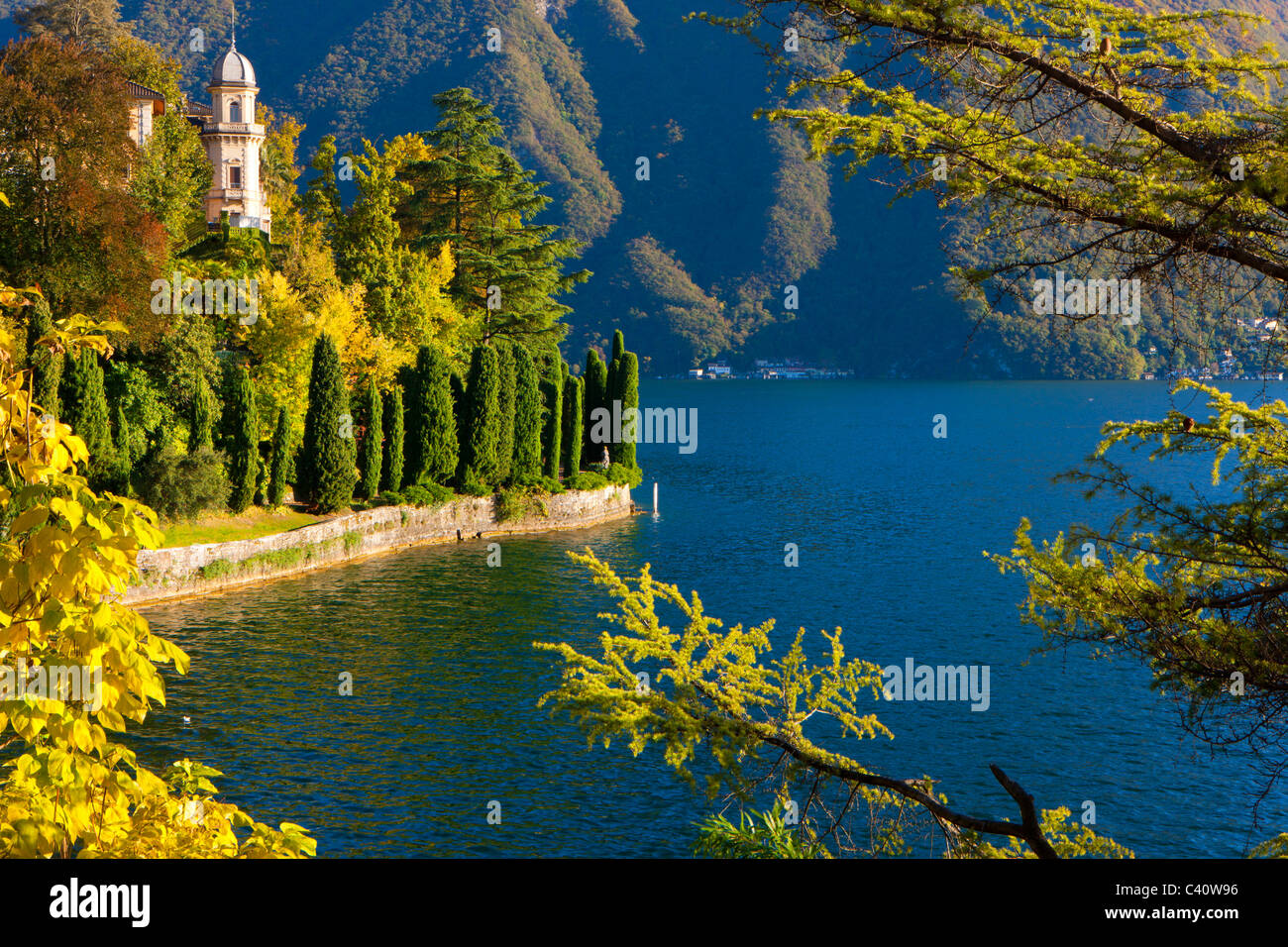 Castagnola, Svizzera, Europa, Canton Ticino, Lago, Lago di Lugano, parco di villa, alberi, colorazione autunnale, autunno Foto Stock