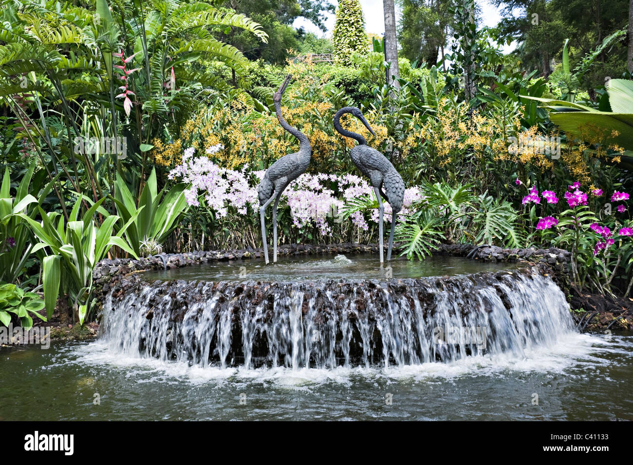 Due gru di bronzo sculture in una fontana presso il National Orchid Garden Singapore Repubblica di Singapore Asia Foto Stock
