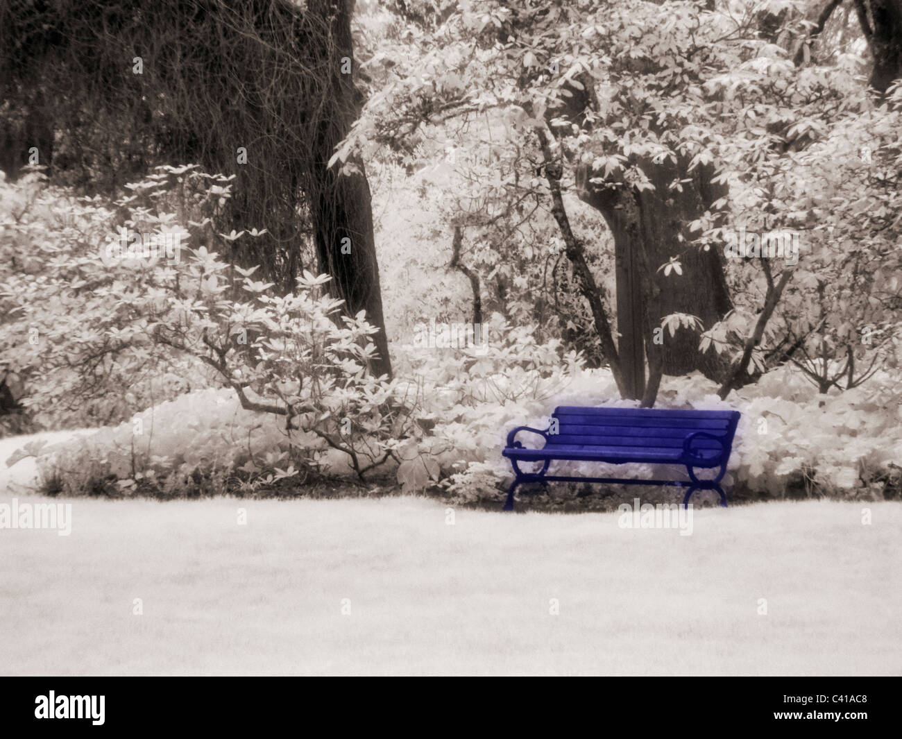 Una panchina nel parco fotografato in infrarosso Eugene, Oregon Foto Stock