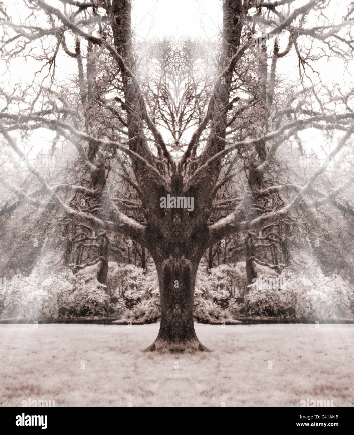 Struttura simmetrica a infrarossi Foto Stock