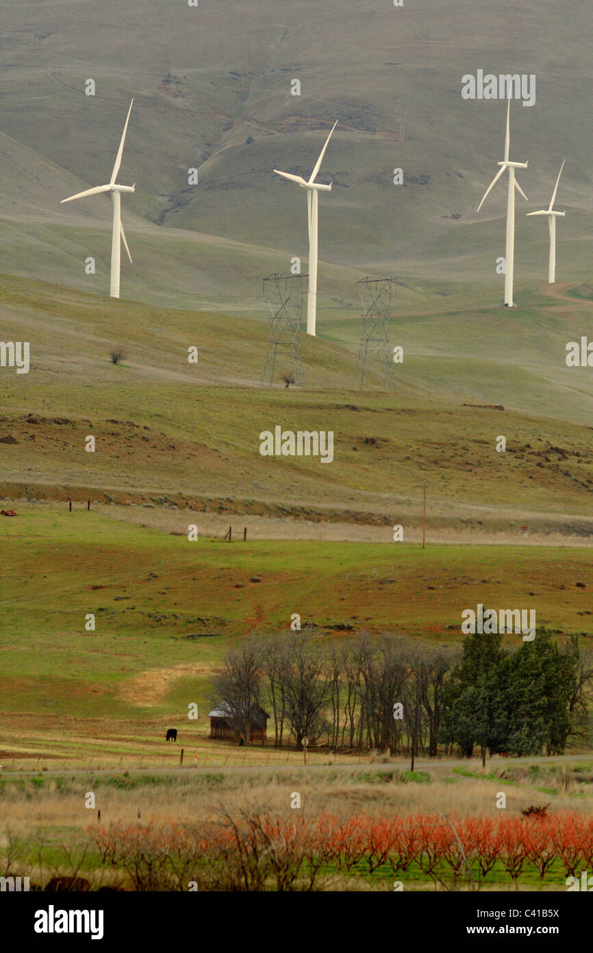 Generazione di elettricità progetto eolico Biggs, Oregon Foto Stock