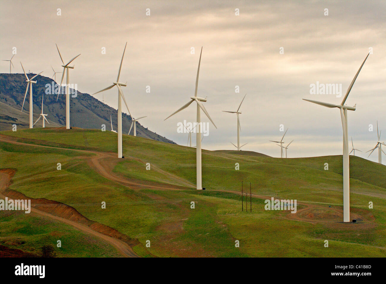Generazione di elettricità progetto eolico Biggs, Oregon Foto Stock